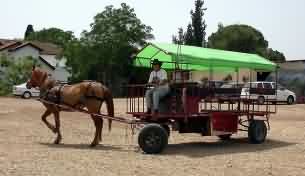 Лошадь - транспорт